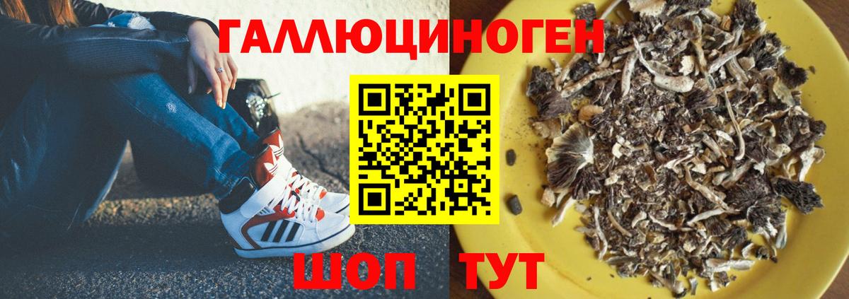 Псилоцибиновые грибы Psilocybine cubensis  Вход с VPN  Азов 